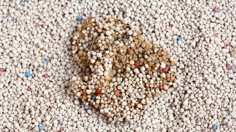 Clumping cat litter or sand