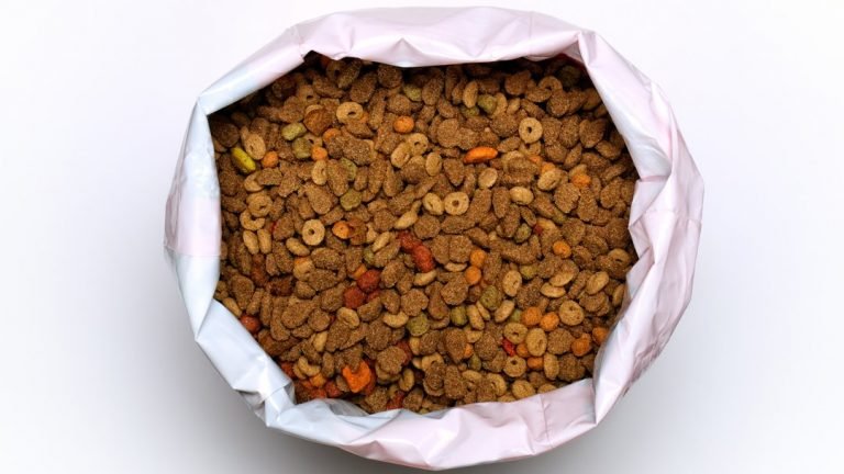storage for cat food