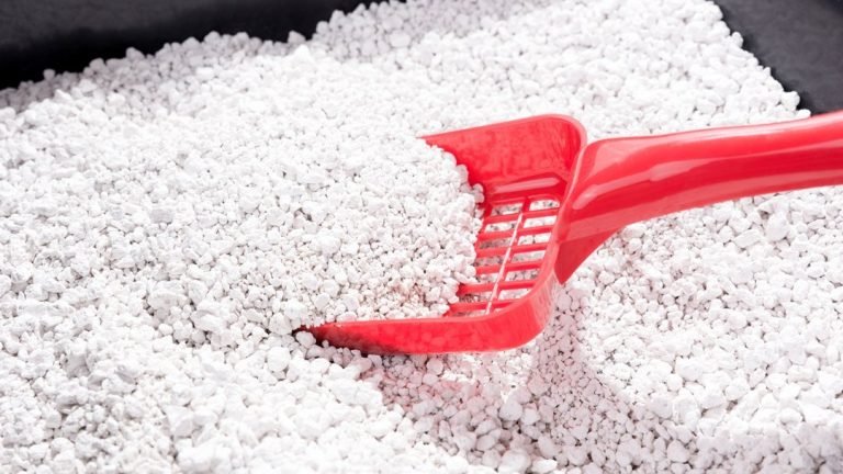 best cat litter scoops