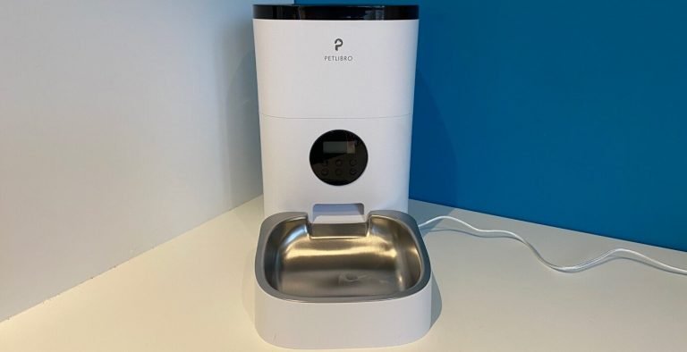 Best Automatic Cat Feeders