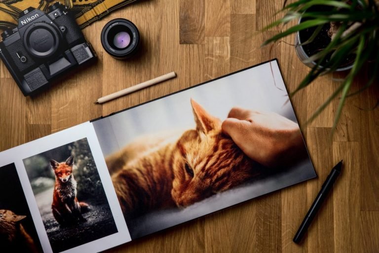 Best-Pet-Cameras