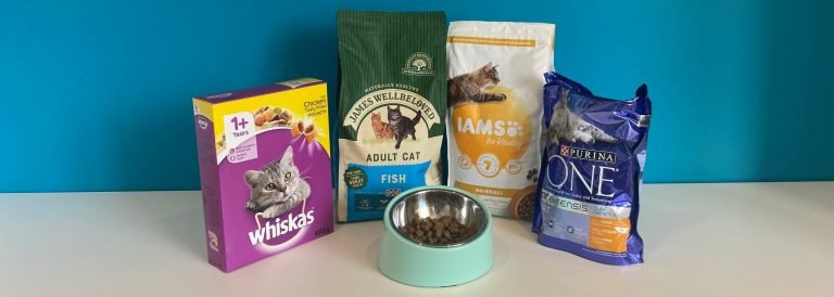 Best Dry Cat Food for Adult Cats