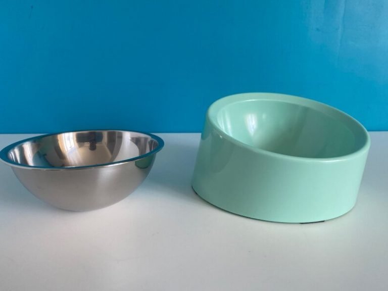 Best Cat Food Bowls for Feeding Your Cats
